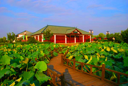 杭州市琵琶湾基地