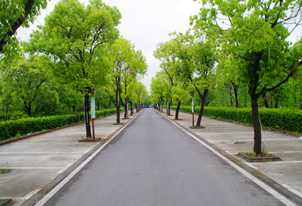 松江辰山山庄基地